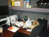 2010-11-16 11.56.59.jpg